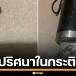 แม่เจอเม็ดปริศนาในกระติกน้ำ