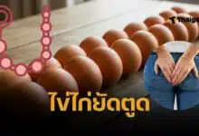 ชายดัตช์วัย 29 ปีถูกหามส่ง ICU หลังสอดไข่ต้ม 15 ฟองเข้าทวารหนัก ขณะเมายา GHB  แพทย์เตือนเสี่ยงลำไส้ทะลุ ติดเชื้อรุนแรง