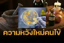 ยาโบราณพันปีพิฆาต “ซูเปอร์บัค” นักวิทย์อึ้ง สูตรตาแห้งยุคแองโกล-แซกซอน ฆ่าเชื้อดื้อยา MRSA ได้ถึง 90% ทำจากกระเทียม หัวหอม