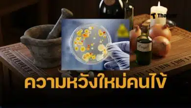 ยาโบราณพันปีพิฆาต “ซูเปอร์บัค” นักวิทย์อึ้ง สูตรตาแห้งยุคแองโกล-แซกซอน ฆ่าเชื้อดื้อยา MRSA ได้ถึง 90% ทำจากกระเทียม หัวหอม