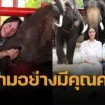โอปอล สุชาตา นำทีมมิสเวิลด์ 2025 เยือนหมู่บ้านช้างอยุธยา ขอบคุณ จูเลีย มอร์ลีย์ บริจาค 20,000 ดอลลาร์ช่วยช้างเร่ร่อน