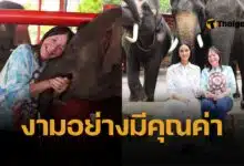 โอปอล สุชาตา นำทีมมิสเวิลด์ 2025 เยือนหมู่บ้านช้างอยุธยา ขอบคุณ จูเลีย มอร์ลีย์ บริจาค 20,000 ดอลลาร์ช่วยช้างเร่ร่อน