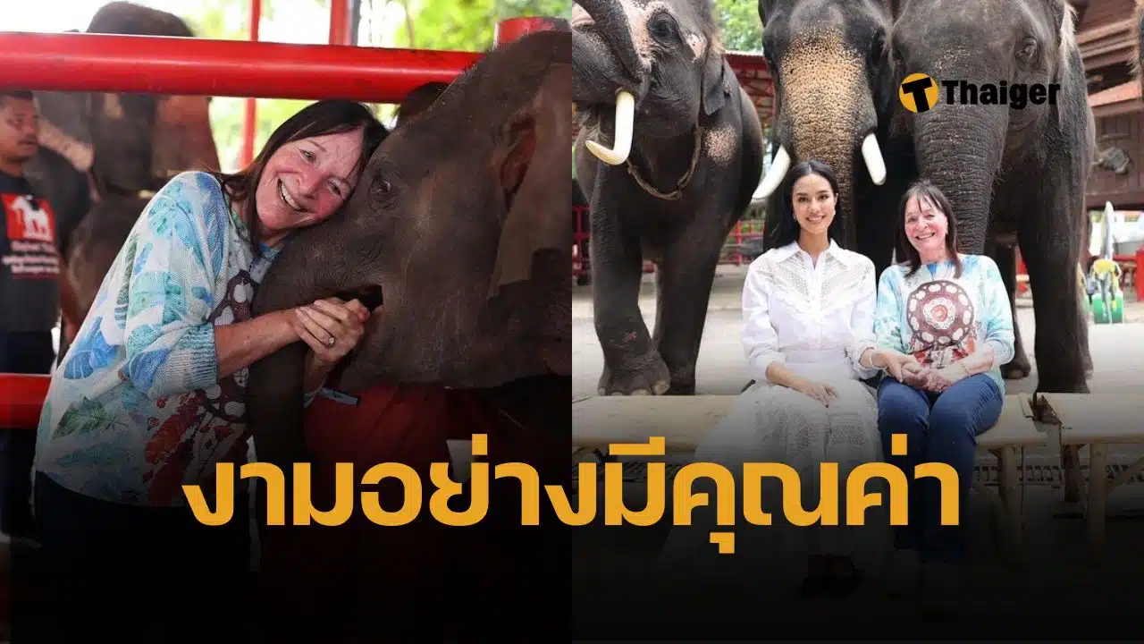 โอปอล สุชาตา นำทีมมิสเวิลด์ 2025 เยือนหมู่บ้านช้างอยุธยา ขอบคุณ จูเลีย มอร์ลีย์ บริจาค 20,000 ดอลลาร์ช่วยช้างเร่ร่อน