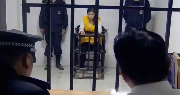 ยิน เสวี่ย โจรสาวใช้เสน่ห์ลวง ล้างบ้านเศรษฐี