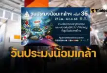 วันประมงน้อมเกล้า 2568 เที่ยวงานเทศกาลสัตว์น้ำที่ยิ่งใหญ่ที่สุดของไทย