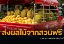 ข่าวดี ไปรษณีย์ไทย ส่งผลไม้ฟรี เร็วจี๋แบบ EMS ช่วยเหลือชาวสวน ฟรีที่ทำการไปรษณีย์ไทยทุกสาขาทั่วประเทศ จนถึงวันที่ 30 เมษายน 2569
