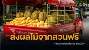 ข่าวดี ไปรษณีย์ไทย ส่งผลไม้ฟรี เร็วจี๋แบบ EMS ช่วยเหลือชาวสวน ฟรีที่ทำการไปรษณีย์ไทยทุกสาขาทั่วประเทศ จนถึงวันที่ 30 เมษายน 2569