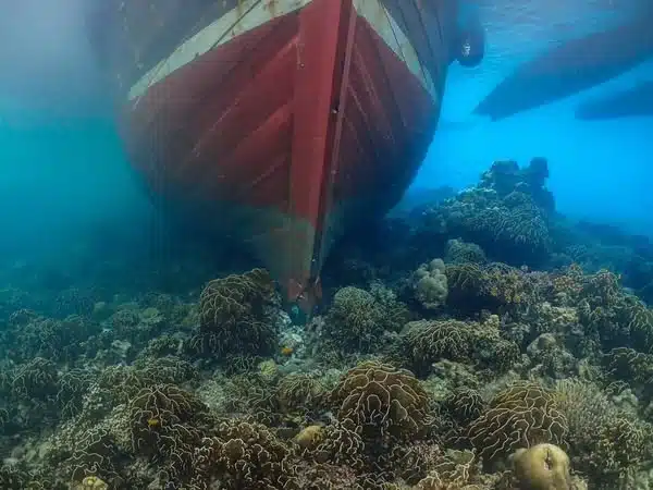 ปะการัง ถูกเรือพม่า ชน