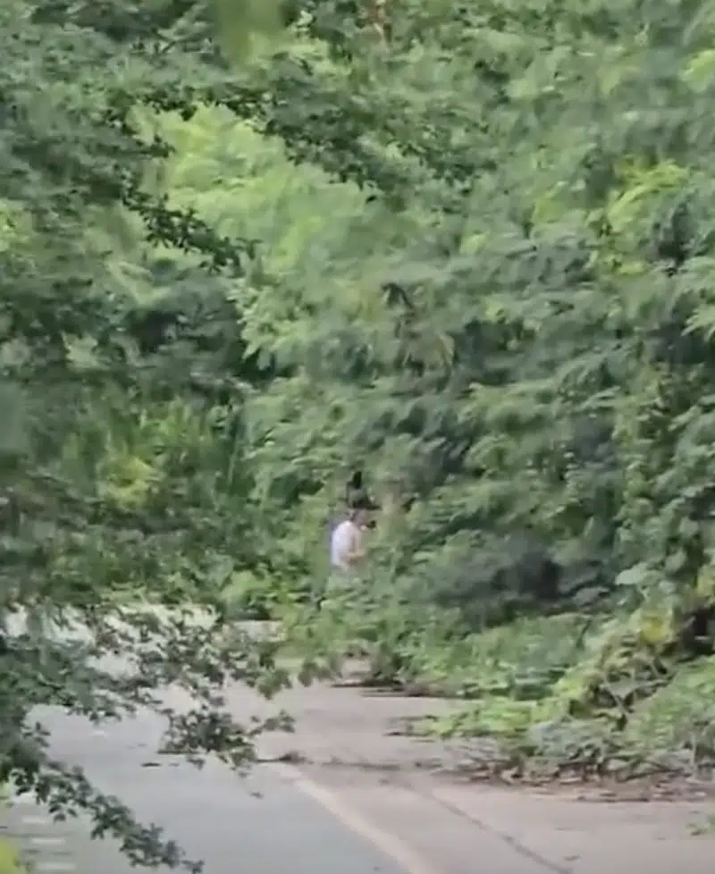 วิจารณ์สนั่น “Sex Creator” ถ่ายคลิปเอาต์ดอร์ เริงรักในมักกะสัน ป่ากระถินกลางเมือง สาวพลเมืองดีมาวิ่งช็อก ถ่ายคลิปแจ้งเพจดัง 