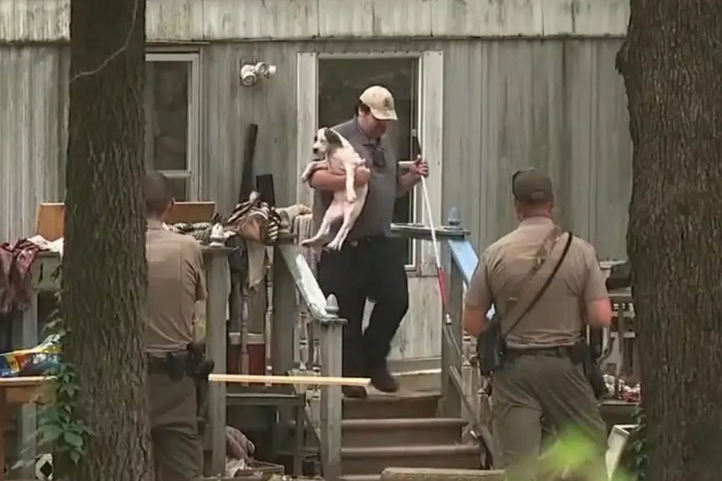 สลด! ฝูงหมากว่า 40 ตัว รุมขย้ำเด็กสาว 15 ดับอนาถ เพื่อนบ้านแฉทางการเพิกเฉย-2