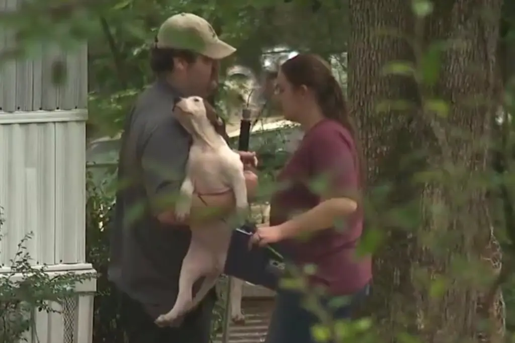 สลด! ฝูงหมากว่า 40 ตัว รุมขย้ำเด็กสาว 15 ดับอนาถ เพื่อนบ้านแฉทางการเพิกเฉย-3