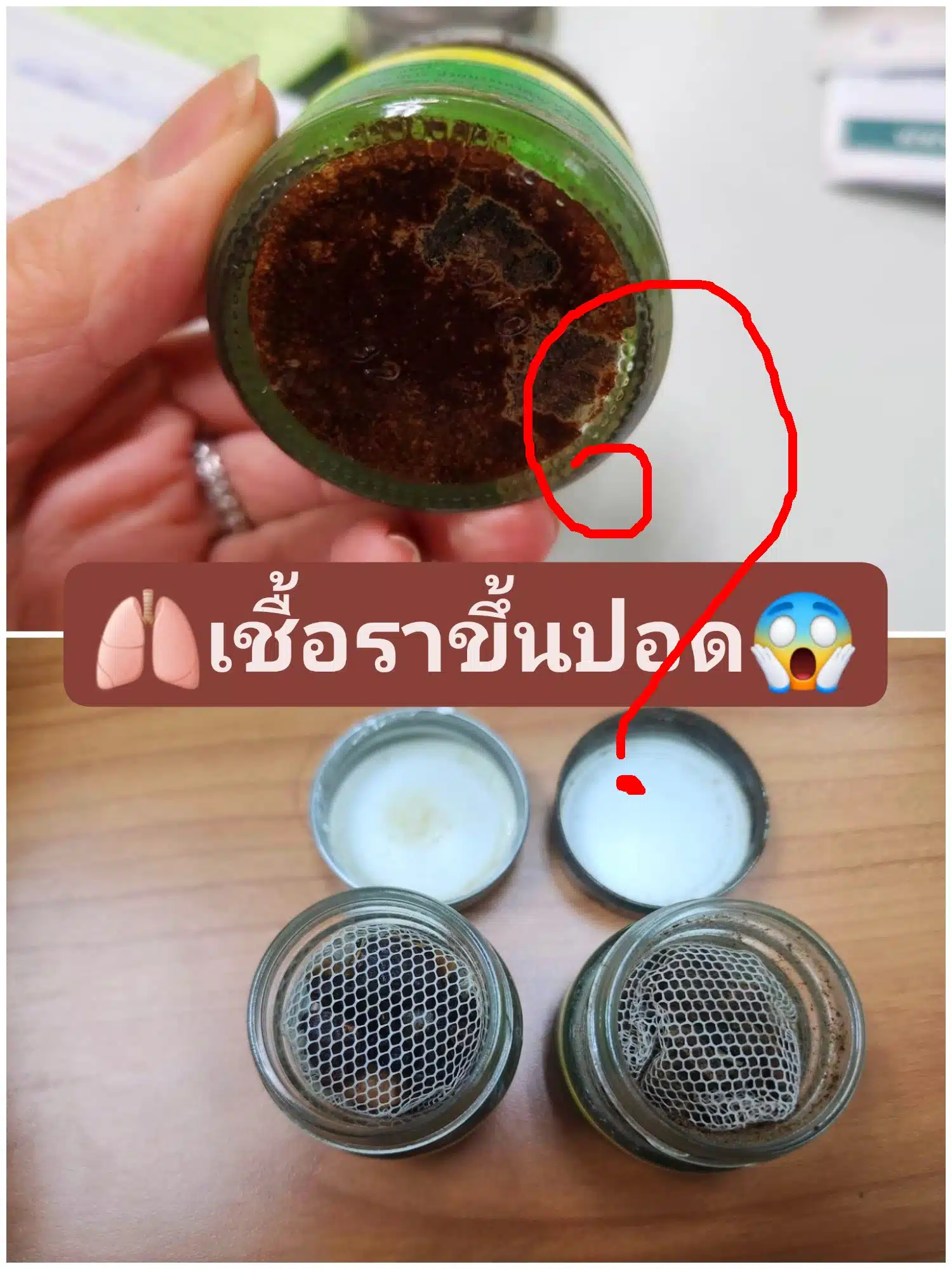 อ.เจษฎา ไขสงสัย ยาดมสมุนไพร ก่อโรคเชื้อราที่ปอด ได้จริงหรือ แนะดมยังไงให้ปลอดภัย