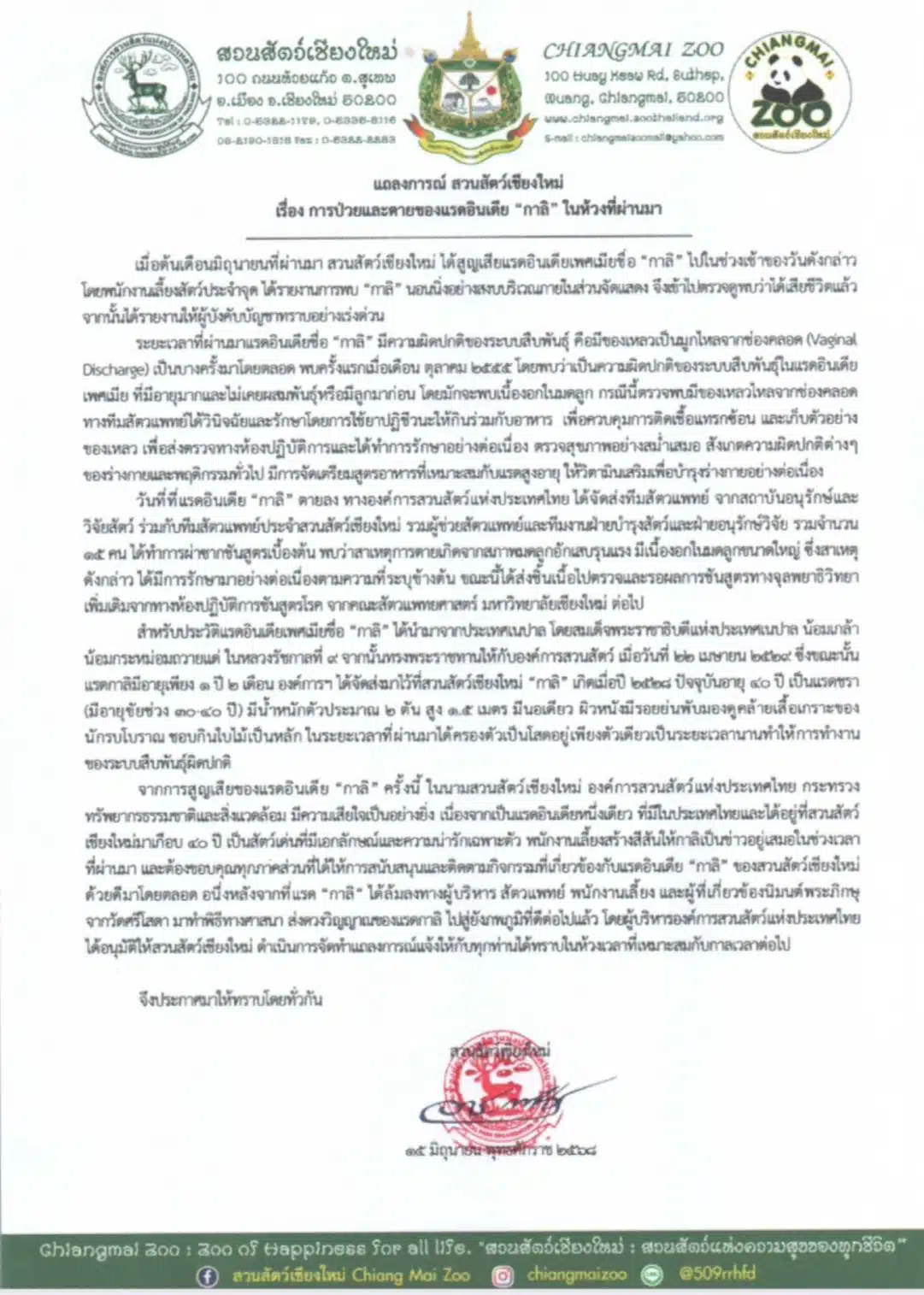 แรดอินเดีย กาลิ ตาย