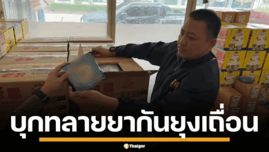 ภาพเจ้าหน้าที่ตำรวจกำลังตรวจสอบกล่องยาจุดกันยุงเถื่อนที่ถูกตรวจยึดจำนวนมาก