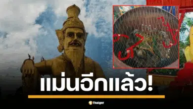 ตรวจหวย เลขเด็ด หยดน้ำตาเทียนในอ่างน้ำมนต์ งวด 16 ก.ค. 68 ให้เลขเด่น 2 ตัวท้าย ตรงเผง คอหวยนำไปจับคู่จนได้รับโชค