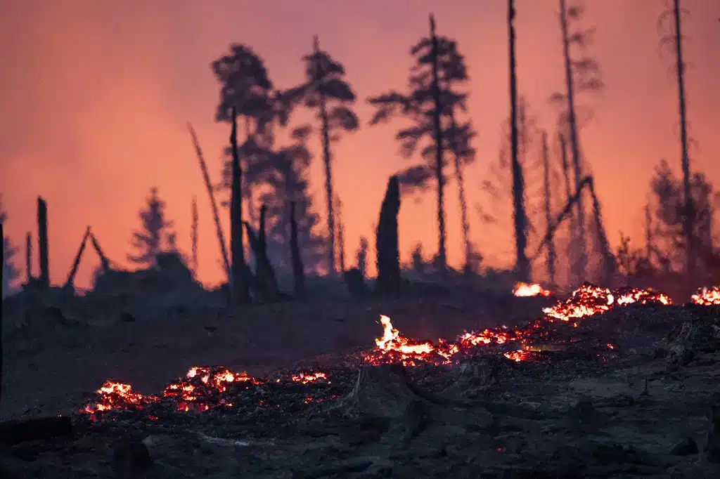 The forest floor is on fire in a wooded area on the Saalfelder Höhe, in Reichmannsdorf, Germany, Wednesday, July 2, 2025.