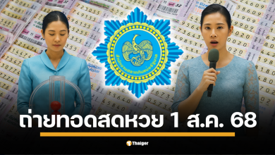 ถ่ายทอดสดหวย 1 สิงหาคม 2568 ตรวจผลสลากกินแบ่งรัฐบาลไทย ทุกรางวัล