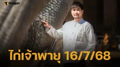 เลขเด็ด ไก่เจ้าพายุ ลุ้นรางวัลหวยรัฐบาลไทย งวด 16 กรกฎาคม 2568