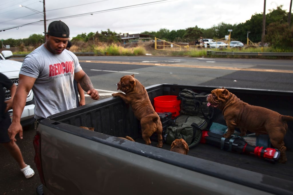 Ewa Beach resident CJ Jasper evacuates his family and their dogs to the side of Kunia Road to escape the tsunami threat Kapolei, Oahu, Hawaii, Tuesday, July 29, 2025.