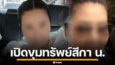 ภาพ สีกา น. เศรษฐีนีแห่งปากน้ำโพ