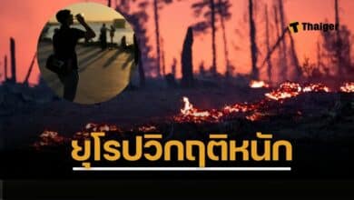 ยุโรปวิกฤติ คลื่นความร้อน ทะลุ 40 องศา คร่าชีวิตแล้ว 6 ศพ เด็กตายต่อหน้าพ่อแม่