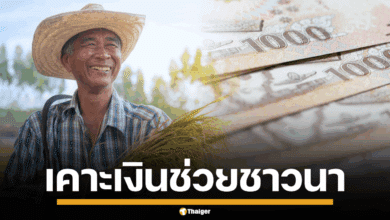 ภาพชาวนากำลังทำนา หรือภาพรวงข้าว