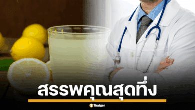 ภาพหมอ และน้ำมะนาวสดในแก้วพร้อมมะนาวฝานและใบมิ้นต์