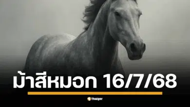 เลขเด็ด หวยม้าสีหมอก งวด 16/7/68 มาแล้ว การันตีความแม่น เลขวิ่งบน-ล่าง และเลขท้าย 2 ตัวที่คอหวยทั่วประเทศรอคอย