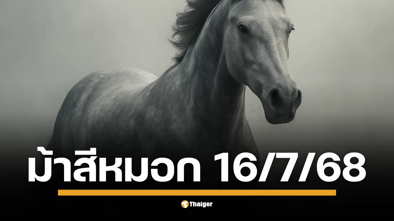เลขเด็ด หวยม้าสีหมอก งวด 16/7/68 มาแล้ว การันตีความแม่น เลขวิ่งบน-ล่าง และเลขท้าย 2 ตัวที่คอหวยทั่วประเทศรอคอย