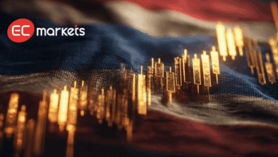 ทำไมนักเทรดในไทยจึงเลือกเทรดทองคำและฟอเร็กซ์กับ EC Markets