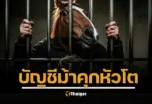 ศาลจำคุก บัญชีม้า 119 ปี ตร. เตือนแรง โทษหนัก คนไทยอย่าขายชาติ