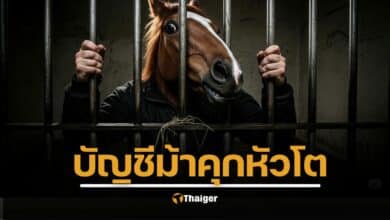 ศาลจำคุก บัญชีม้า 119 ปี ตร. เตือนแรง โทษหนัก คนไทยอย่าขายชาติ