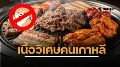 หลังเกาหลีใต้แบนเนื้อสุนัข เนื้อแพะ พุ่งแทนเมนูบำรุงร่างกาย โปรตีนสูงแต่ไขมันอิ่มตัวก็แรง ผู้เชี่ยวชาญเตือนเลือกกินให้เหมาะ
