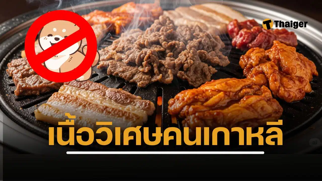 หลังเกาหลีใต้แบนเนื้อสุนัข เนื้อแพะ พุ่งแทนเมนูบำรุงร่างกาย โปรตีนสูงแต่ไขมันอิ่มตัวก็แรง ผู้เชี่ยวชาญเตือนเลือกกินให้เหมาะ