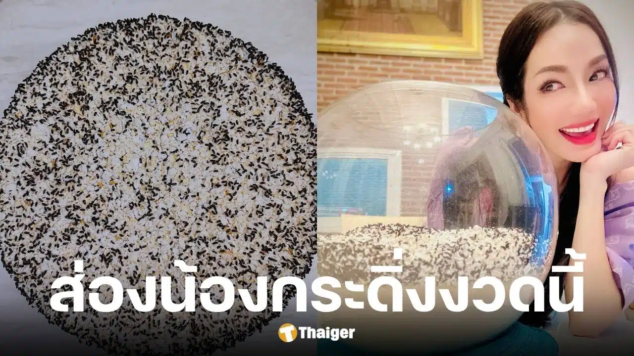 อ๋อม สกาวใจ แจกเลขเด็ดน้องกระดิ่งงวด 16 7 68