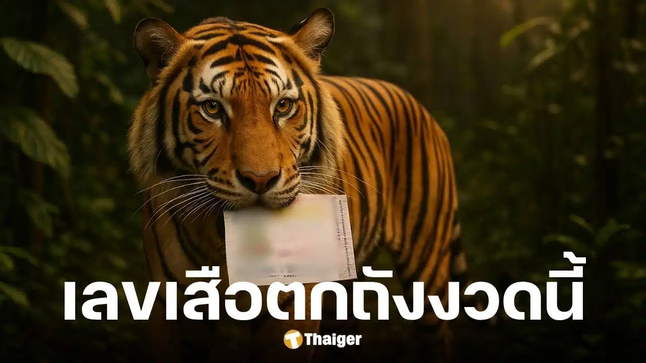 เลขเด็ด เสือตกถังพลังเงินดี งวดที่ 1 ส.ค. 68