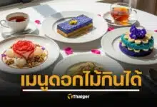 ดอกไม้กินได้ 10 เมนูอาหาร ตำหรับไทยโบราณ อาหารจานสร้างสรรค์ อร่อย เป็นยา ดีต่อร่างกาย ช่วยระบบหมุนเวียดโลหิต ธาตุเย็น