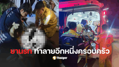 ลูกทรพีขโมยข้าว แทงพ่อ