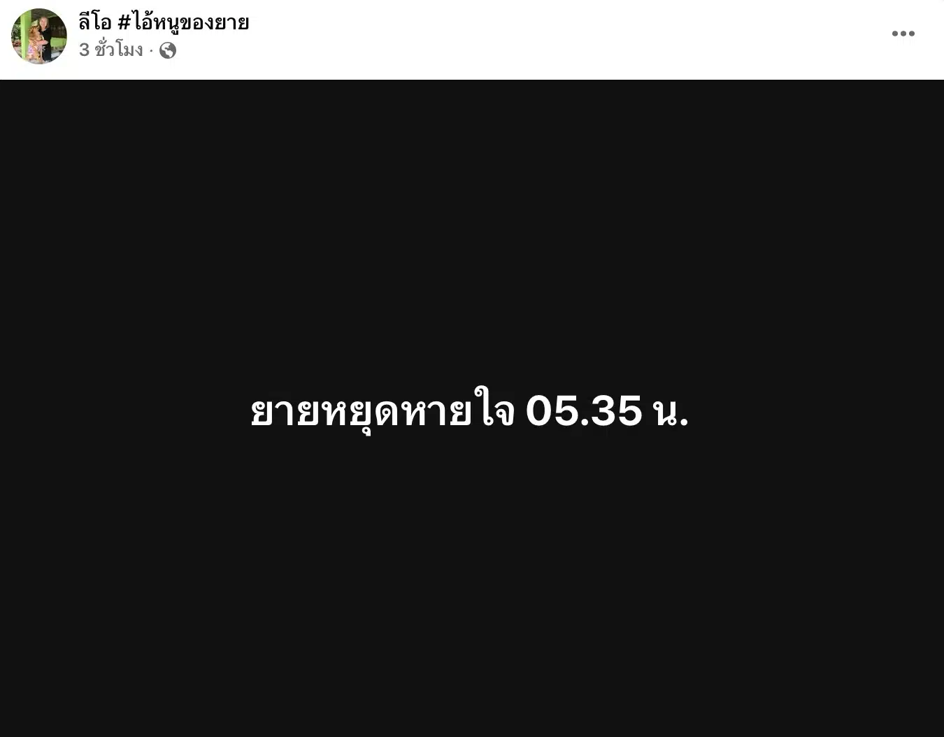 คุณยายเพจไอหนูของลีโอ