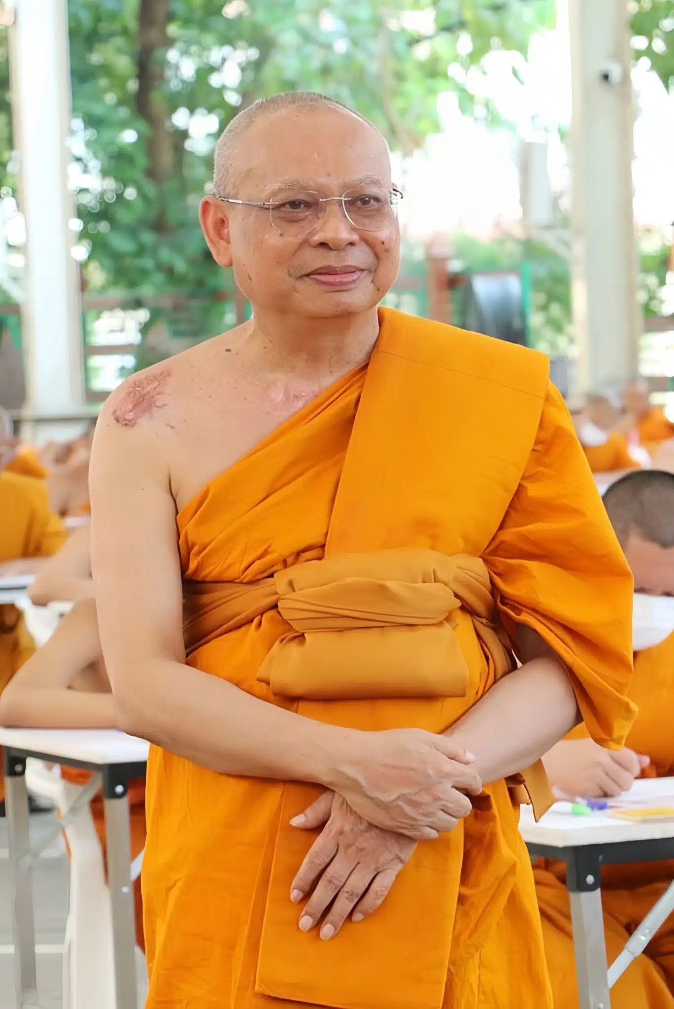 ภาพพระเทพวชิรธีราภรณ์ ภาพ 3