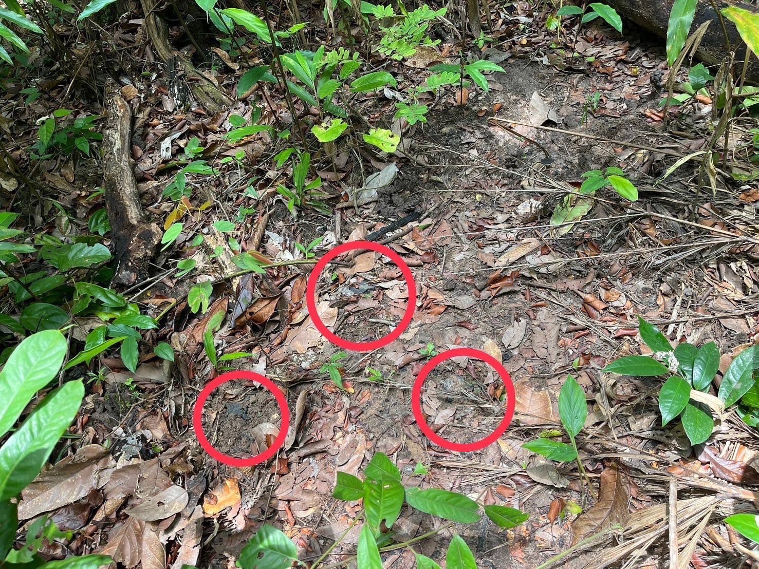 ภาพทุ่นระเบิดใหม่ในพื้นที่ช่องบก