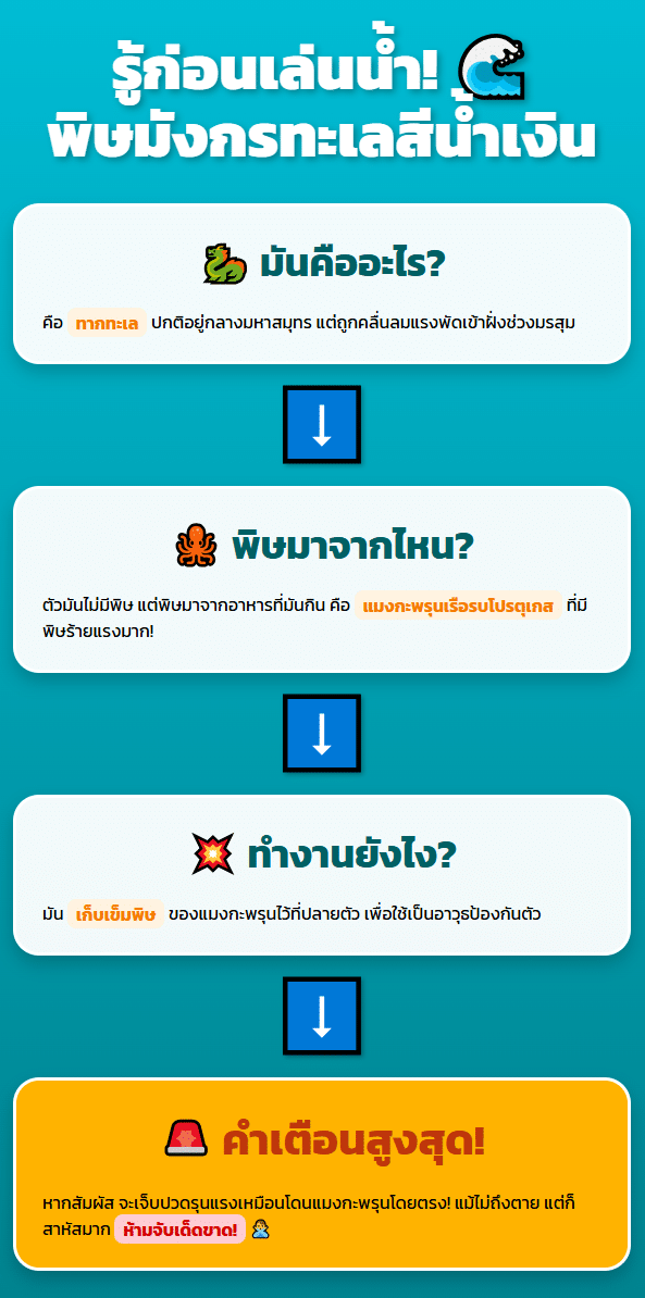 วิธีปฐมพยาบาลเบื้องต้นหากสัมผัสโดน มังกรทะเล