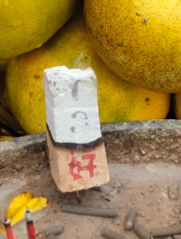 ลิลลี่ เหงียน รำบวงสรวงพญานาค ขอคุ้มครองเมืองไทย ไม่พลาดขอเลขเด็ดงวดนี้-6