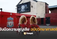 โชต้า วิธีรับมือความสูญเสีย คนรักจากไป
