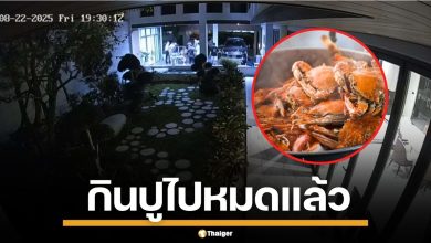 คนจีน ยกพวกนับสิบ รุมตื้บเพื่อนบ้าน ปมปูนึ่ง 4,000 แต่ไรเดอร์ส่งผิดบ้าน