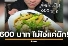 เปิดเหตุผล ร้านเจ๊ไฝ ตั้งเมนู ผัดผักรวมมิตรเห็ดหอม ราคา 600 บาท ขความลับเบื้องหลังร้านอาหารพรีเมียม ต้นทุนทางแบรนด์และสตอรี่มีค่ามากกว่าส่วนผสม