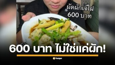 เปิดเหตุผล ร้านเจ๊ไฝ ตั้งเมนู ผัดผักรวมมิตรเห็ดหอม ราคา 600 บาท ขความลับเบื้องหลังร้านอาหารพรีเมียม ต้นทุนทางแบรนด์และสตอรี่มีค่ามากกว่าส่วนผสม