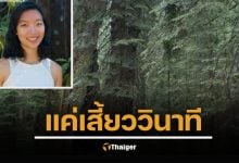 สลด วิศวกรสาว Google วัย 29 ปี เสียชีวิตจากเหตุไม่คาดฝัน กิ่งไม้ตกใส่ขณะเดินป่าในอุทยานโยเซมิตี