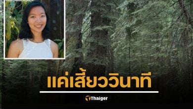 สลด วิศวกรสาว Google วัย 29 ปี เสียชีวิตจากเหตุไม่คาดฝัน กิ่งไม้ตกใส่ขณะเดินป่าในอุทยานโยเซมิตี