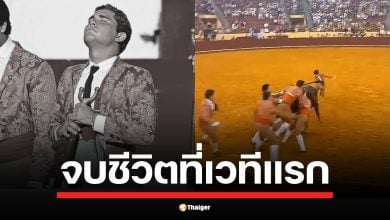 เปิดนาทีระทึก! ทรินแดดถูกวัวพุ่งชน ยกตัวลอยขึ้นกลางอากาศ ก่อนเหวี่ยงกระแทกกับกำแพงไม้ ผู้จัดงานได้ออกแถลงการณ์แสดงความเสียใจอย่างสุดซึ้งต่อครอบครัวของนักสู้วัวดาวรุ่ง